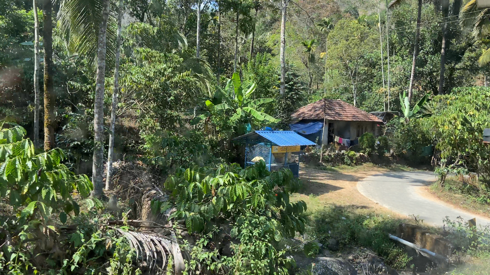 ▲ 서고츠 자연보호구역에 위치한 칸남파디(Kannampady) 산악부족 마을 농가.